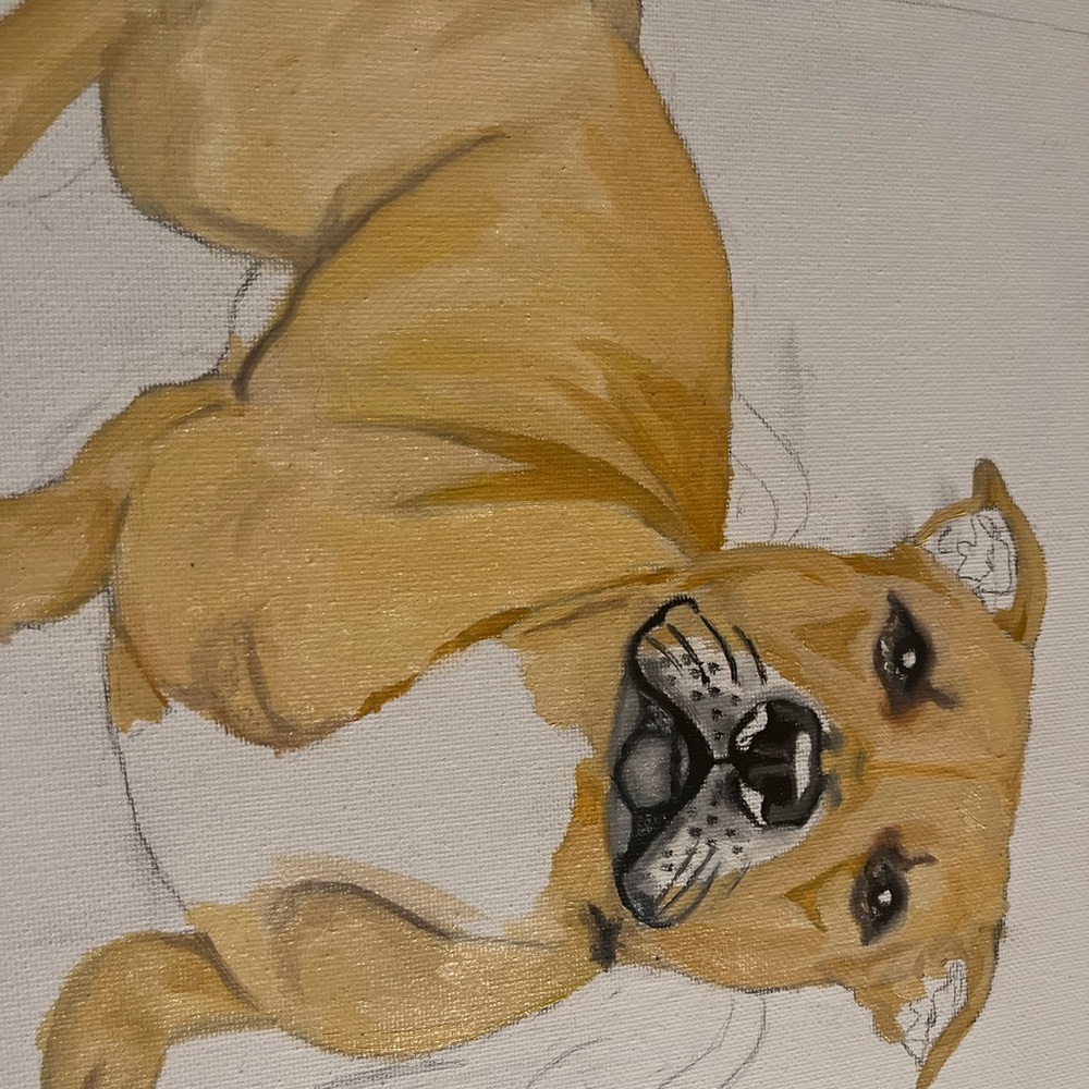 CUSTOM pet portraits/ custom paintings are available on my Instagram (read desc)